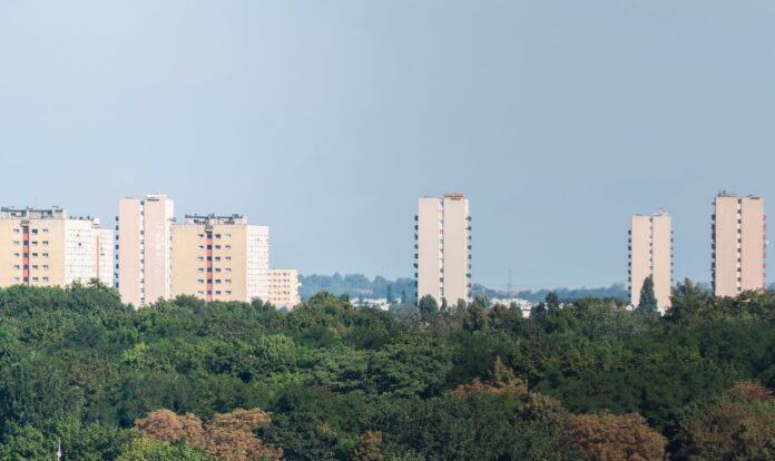 Dlaczego warto wspierać lokalne inicjatywy biznesowe w Żywcu?